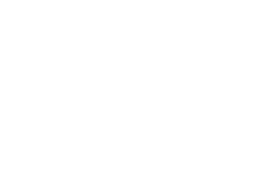 Castedosa Guitars Logo